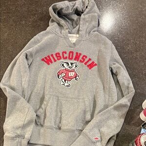 Gray Wisconsin Hoodie